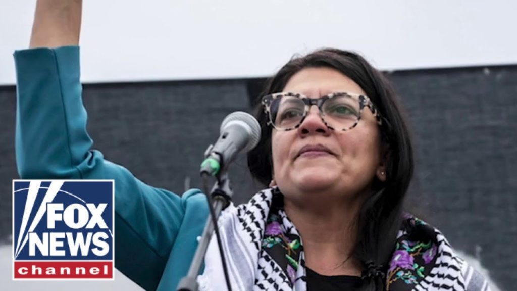 Bombshell report reveals Rashida Tlaib’s secret Facebook group