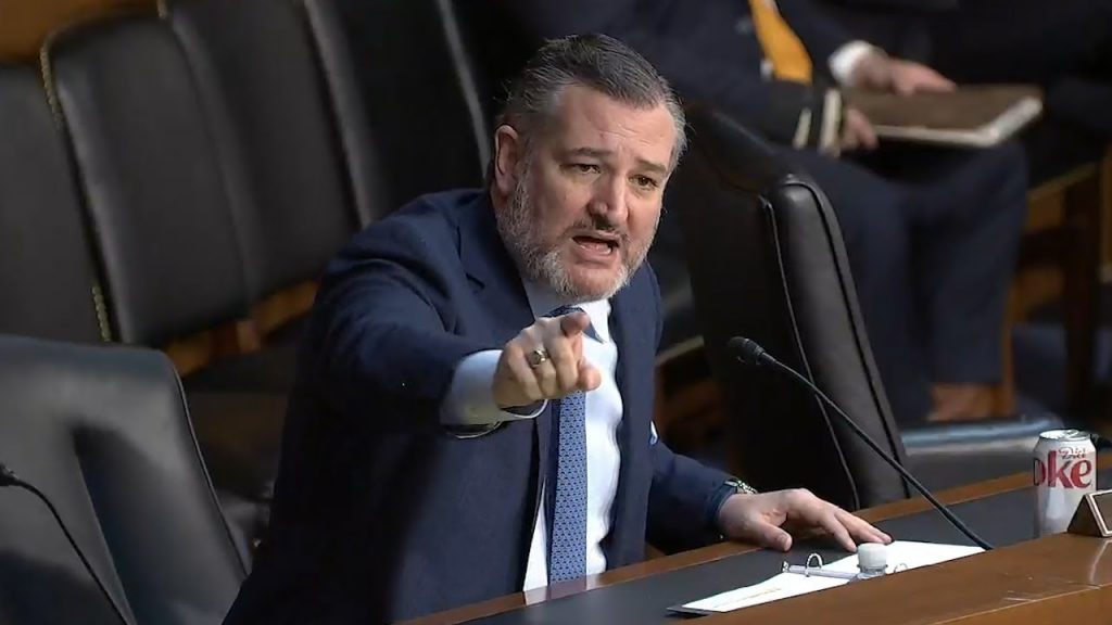 Ted Cruz Empties the Clip on Gun-Grabbing Democrats