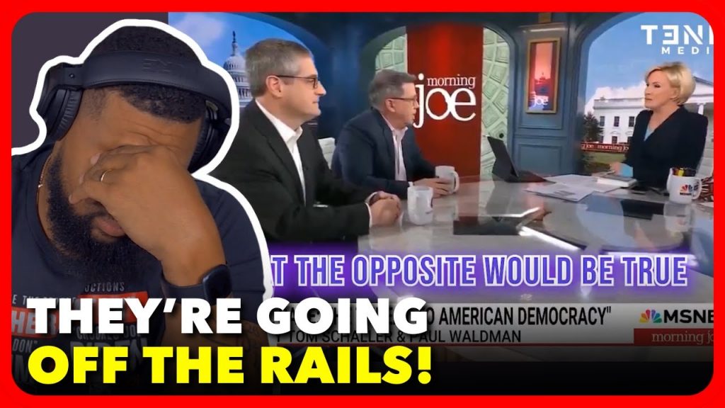 MSNBC Panelists LOSE THEIR MIND Calling White People THREATS To Democracy