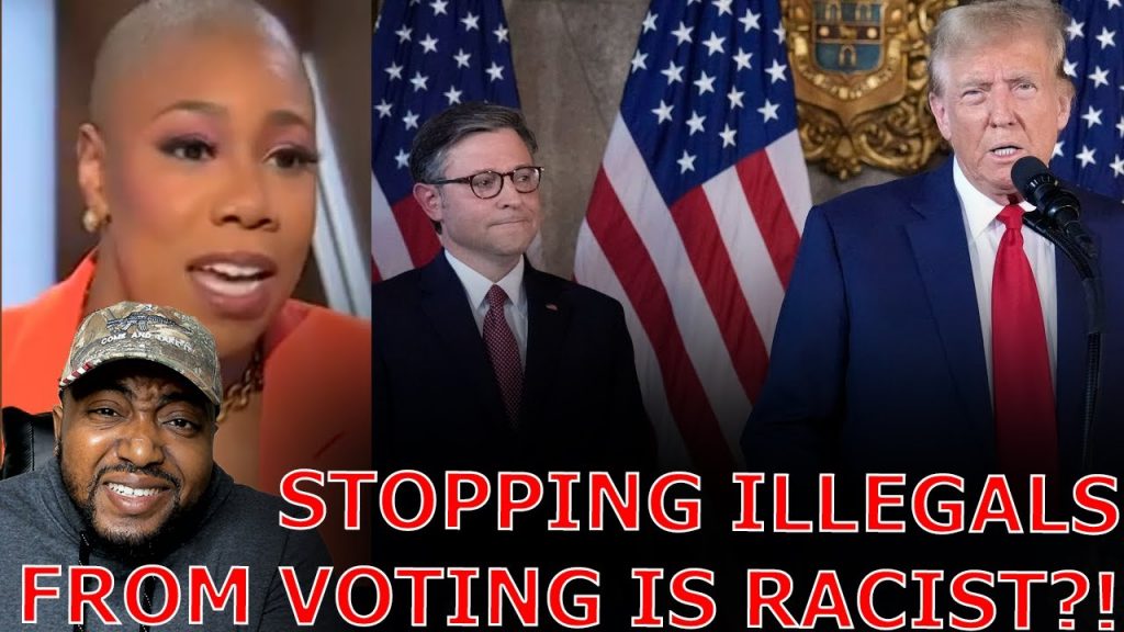 Liberal Media MELTSDOWN Over GOP Moving To STOP Illegal Immigrants From Voting In Federal Elections!