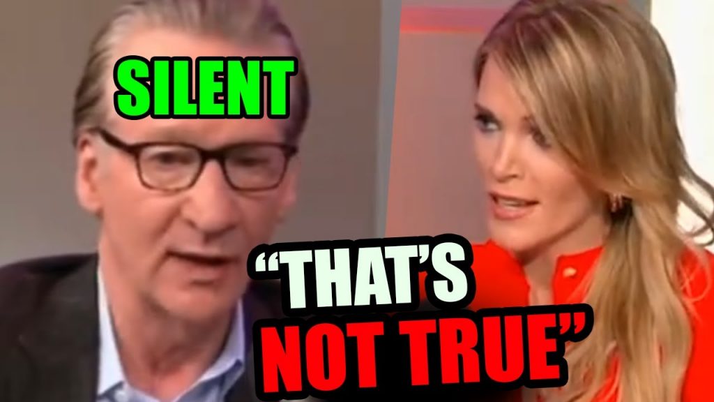 Liar Bill Maher gets a REALITY CHECK from Megyn Kelly lol