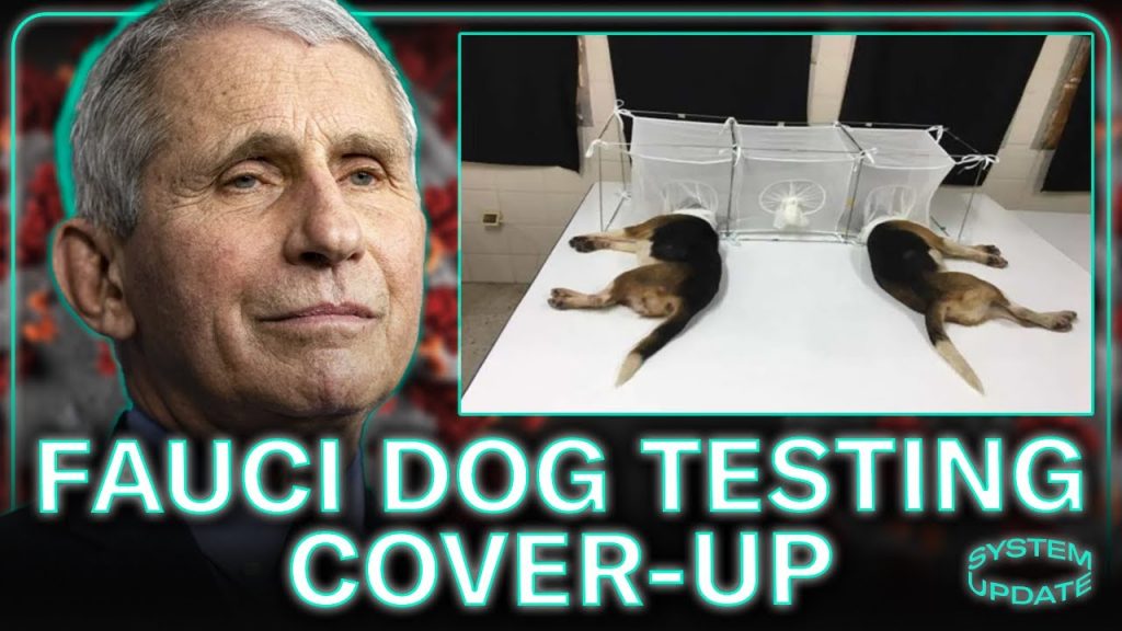 Dr. Fauci’s Dog Experiment Cover-Up: EXPLAINED by Reporter Leighton Woodhouse