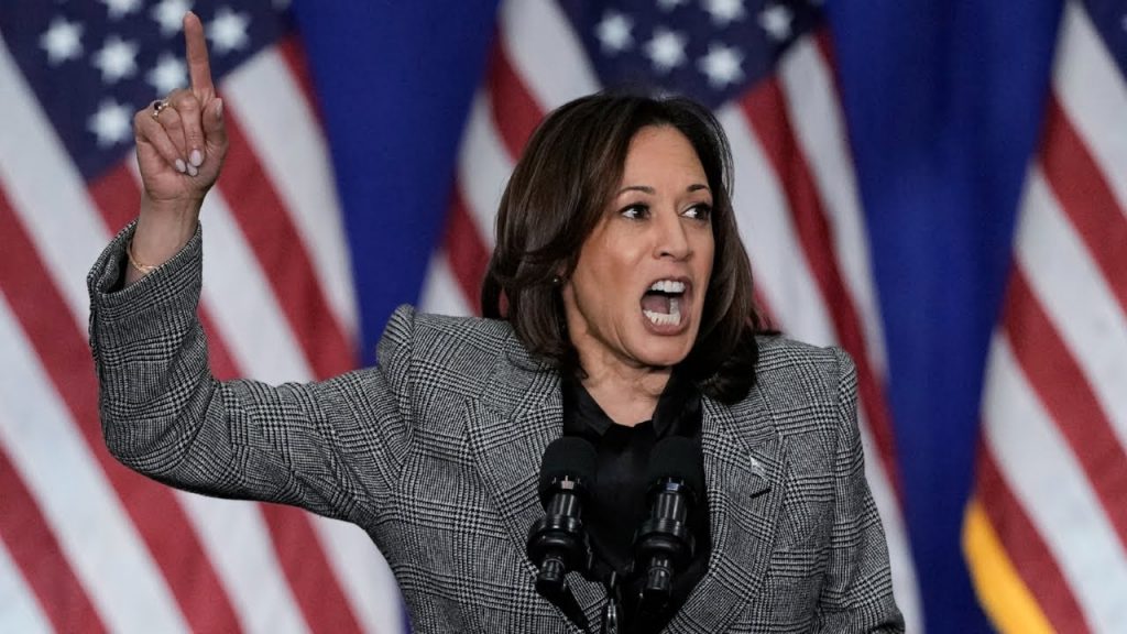 ‘Keep burning America to the ground’: BLM turns against Kamala Harris