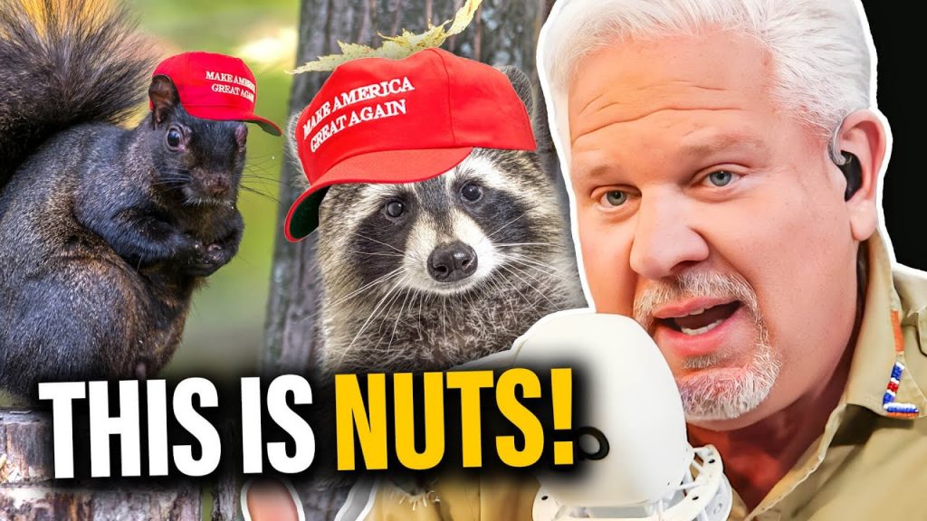 Why Peanut the Squirrel PERFECTLY summarizes the 2024 election