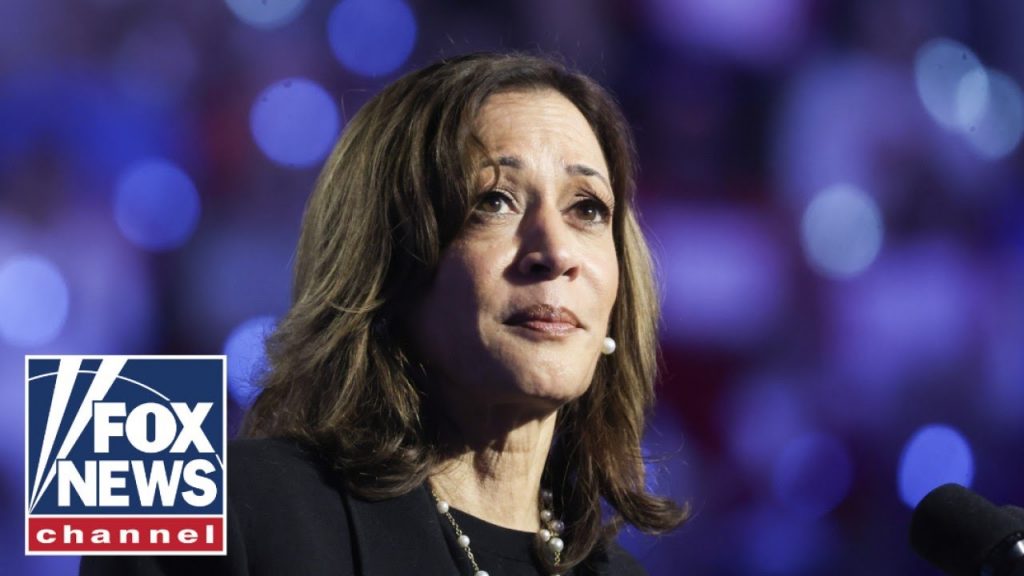 ‘NO RESPECT’: Philly DNC lashes out at Harris campaign for botching race