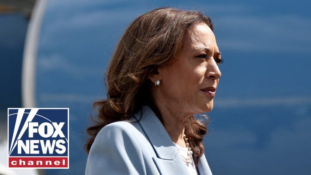 Harris surrogate admits she felt ‘misled’: ‘Billion-dollar disaster’