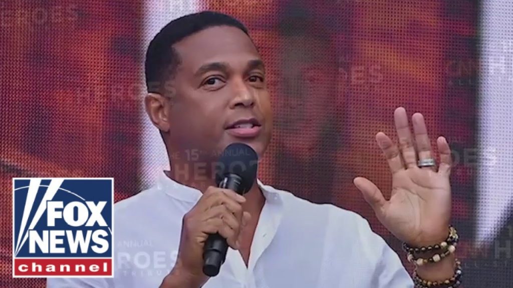 OUT OF CONTROL’: Don Lemon grilled over profanity-laced rant against Trump supporters