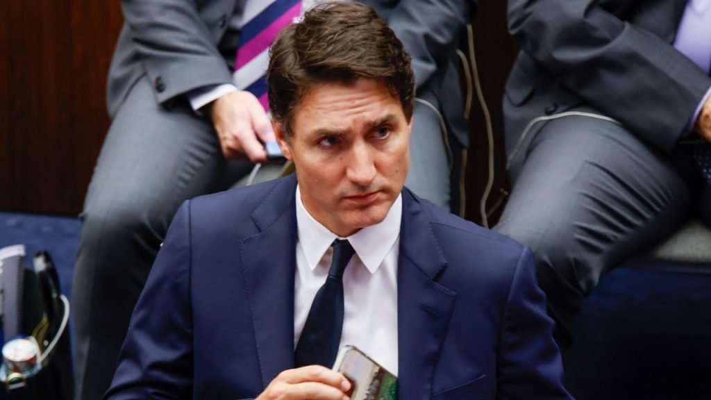 Justin Trudeau urged to ‘stay out’ of US politics