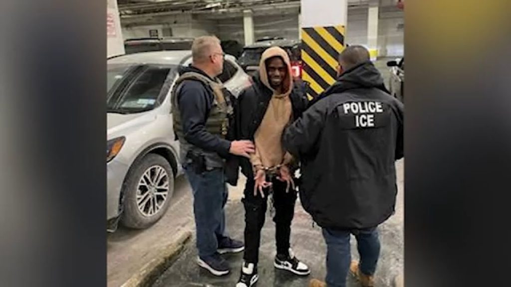 ICE agents arrest over 500 migrants in sanctuary cities, including NYC