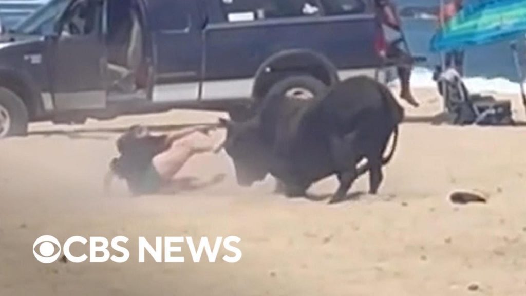 Woman attacked by bull on Mexico beach after ignoring warnings