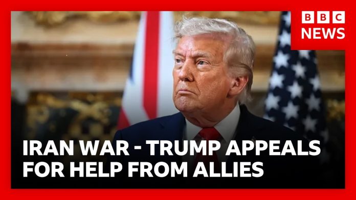 President Trump appeals to allies to help defend Strait of Hormuz from Iran’s attacks | BBC News