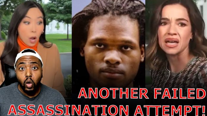 Liberal Media Reporters PANIC As Secret Service SMOKES Lunatic Assassin Outside White House!