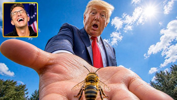 A Bee Just Landed on Trump | His Reaction BROKE The Internet 🤣