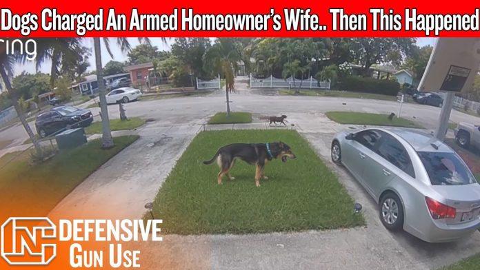 maxresdefault-371 His Wife Was Trapped In The Driveway… Then He Came Back Armed